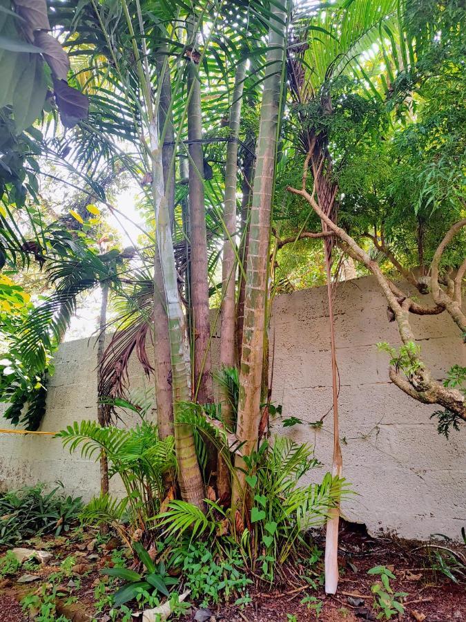 Gogonuts Hostel Varkala Exterior photo
